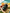 Banner promocional