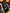 imune-institutional.png