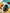 imune-step2.png