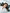 Banner promocional