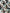 Banner promocional