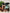 Banner promocional