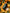 Banner promocional
