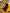 Banner promocional