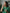 Banner promocional