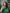 Banner promocional