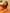 propolis-new-step2.png