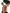 testo-institutional.png